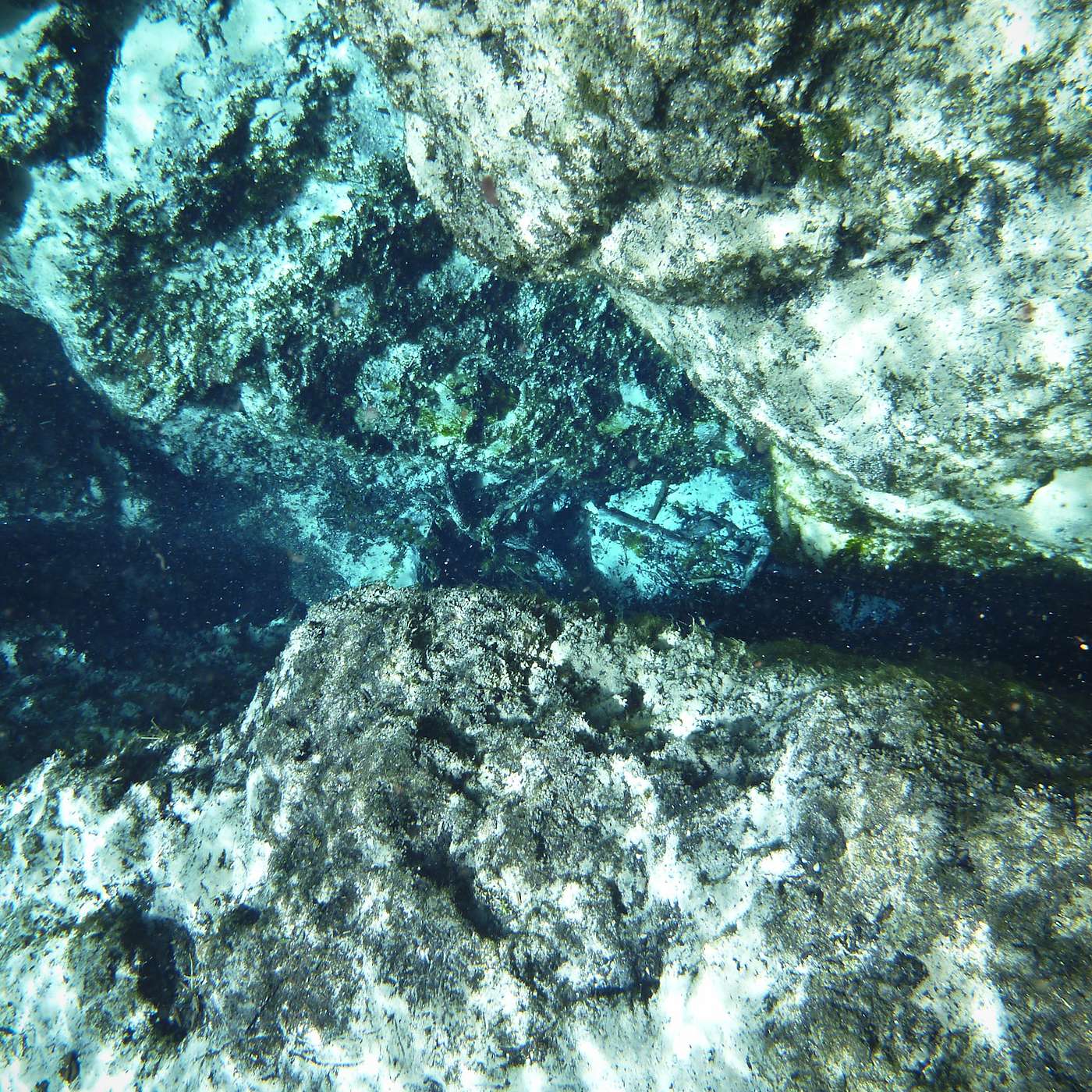 Episode 225: Florida Springs Heritage Area, Reverse Springs, and What You Can Do