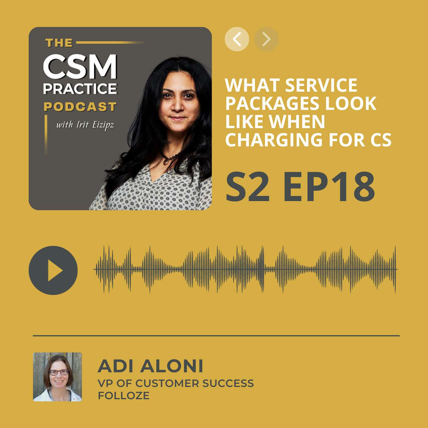 CSM Practice - The Customer Success Podcast
