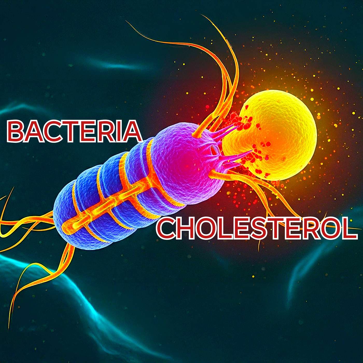This Bacteria May Lower Your Cholesterol