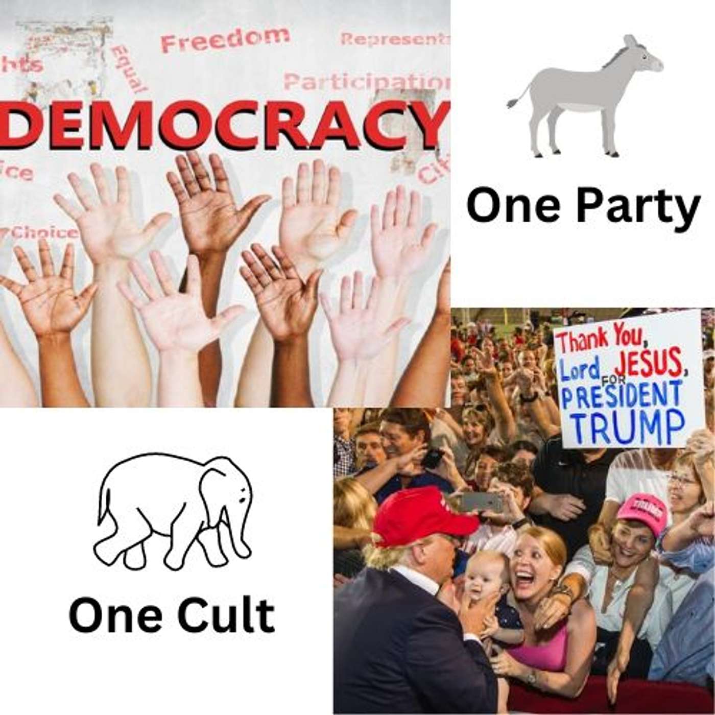 Rational Black Thought Episode #188 May 4, 2024 - “We can't operate with one party and a cult.