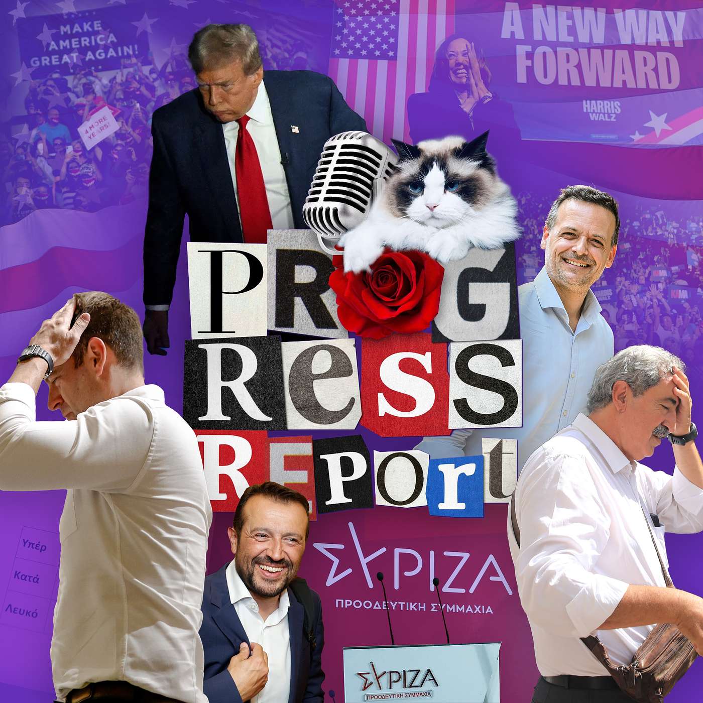 Progress Report