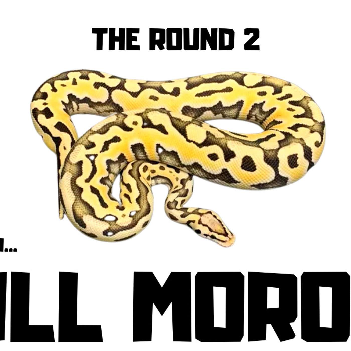 #91 WILL MOROZ OF ROYAL CANADIAN REPTILES | BALL PYTHON BREEDER CANADA | TRAP TALK WITH MJ PODCAST