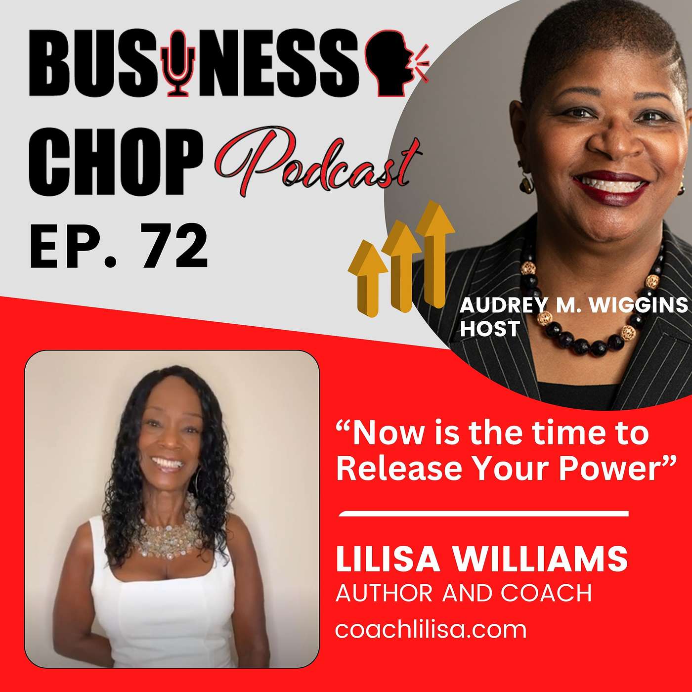 Now is the Time to Release Your Power with Author and Coach Lilisa Williams episode artwork