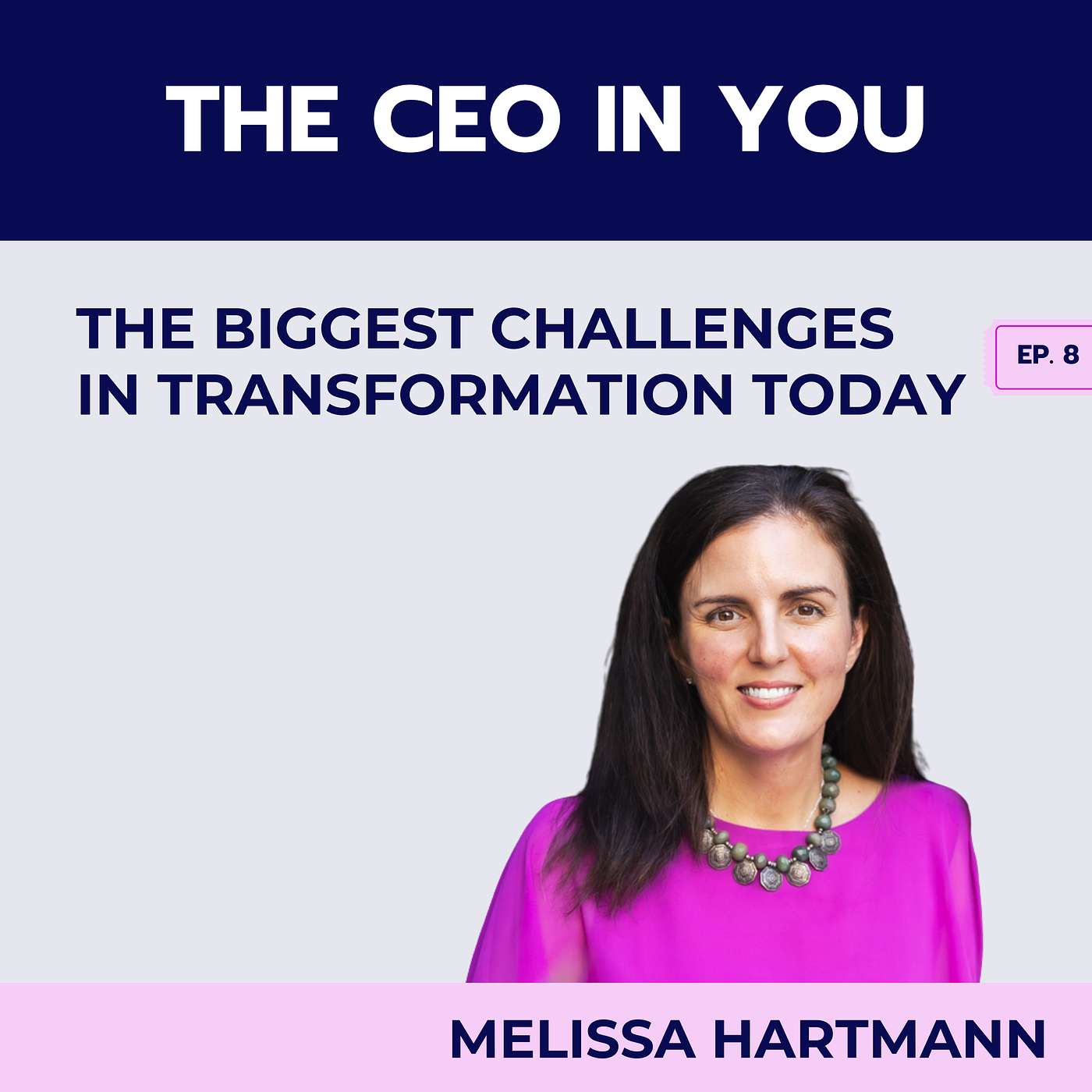 Ep. 8 The Biggest Challenges in Transformation Today episode artwork