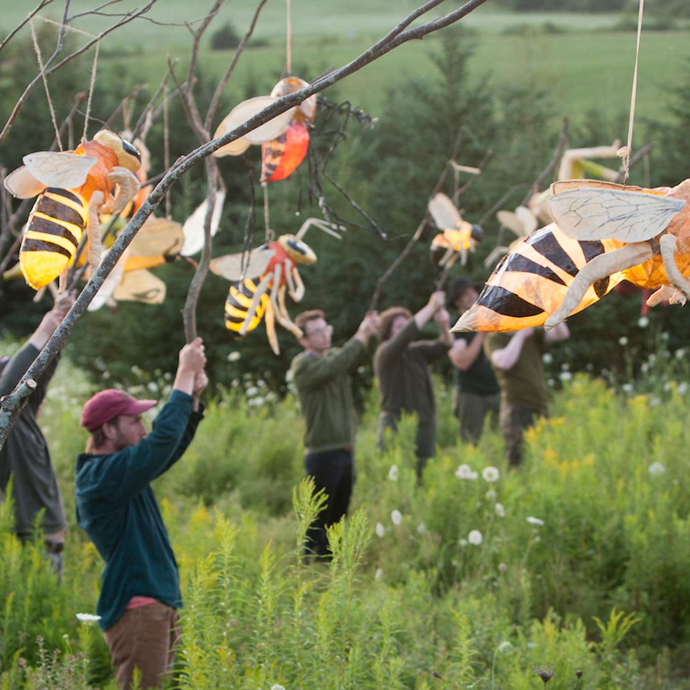 Ecoscenography and Interspecies Collaboration