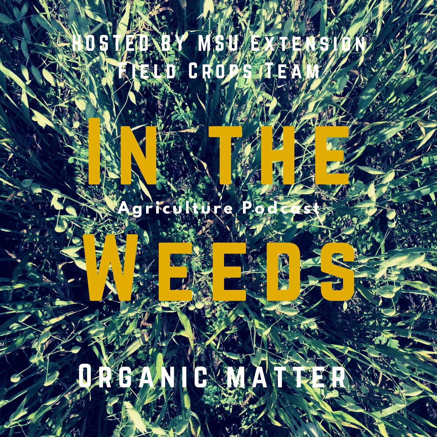 In the Weeds: All There is to Know About Organic Matter! episode artwork