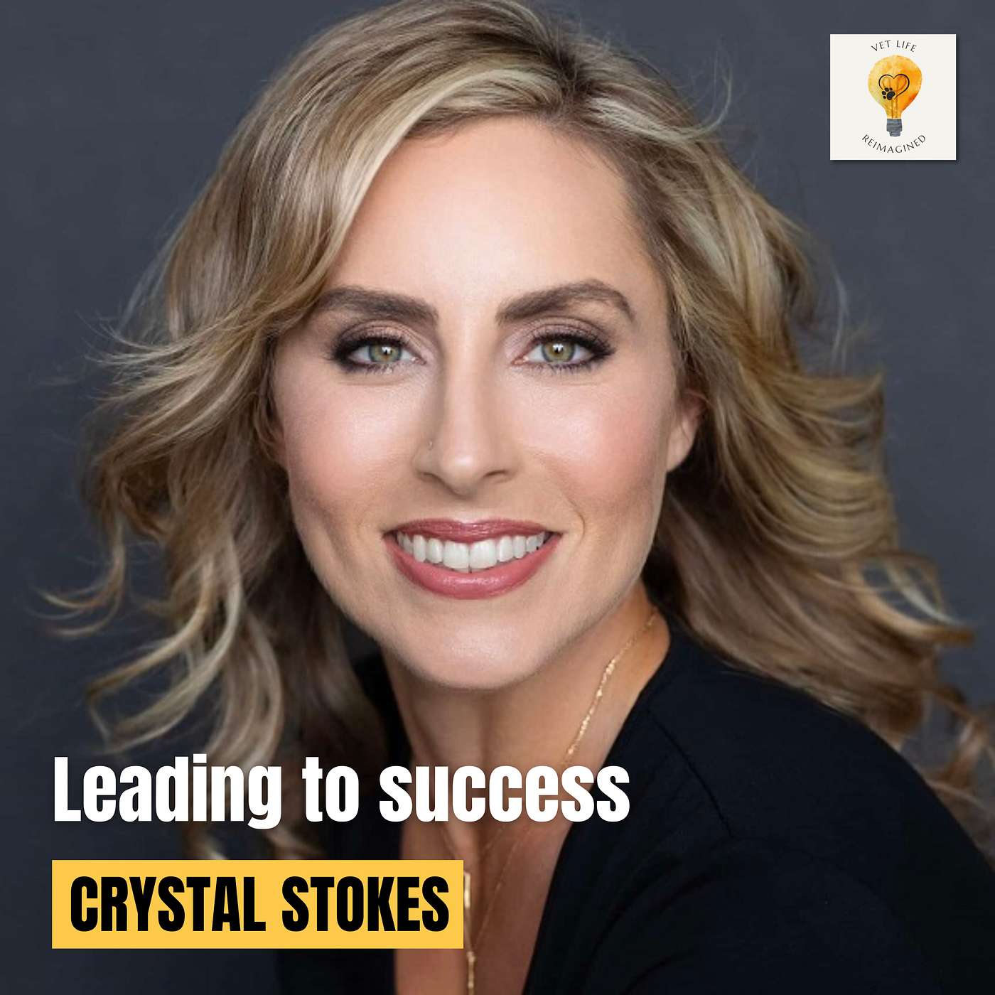 Huge Tip: Vet Business Success is in Systems (Crystal Stokes)