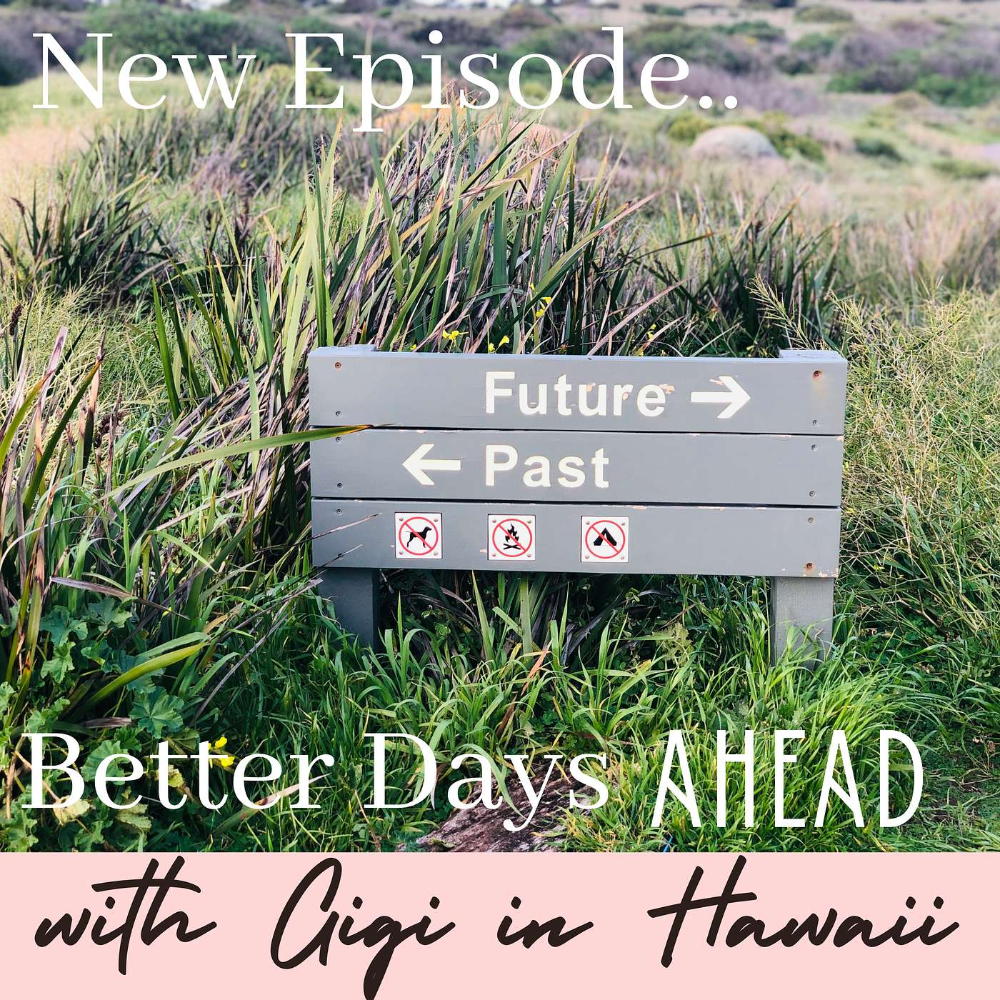 Better Days Ahead- Episode 51 episode artwork