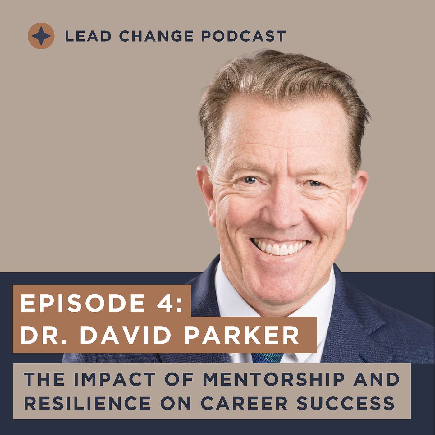 The impact of mentorship and resilience on career success