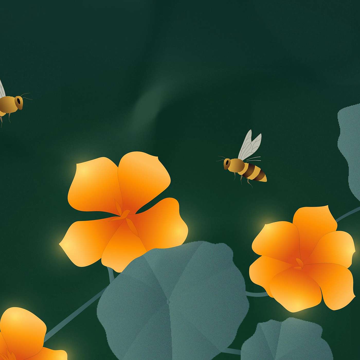 Gratitude Blooming Podcast