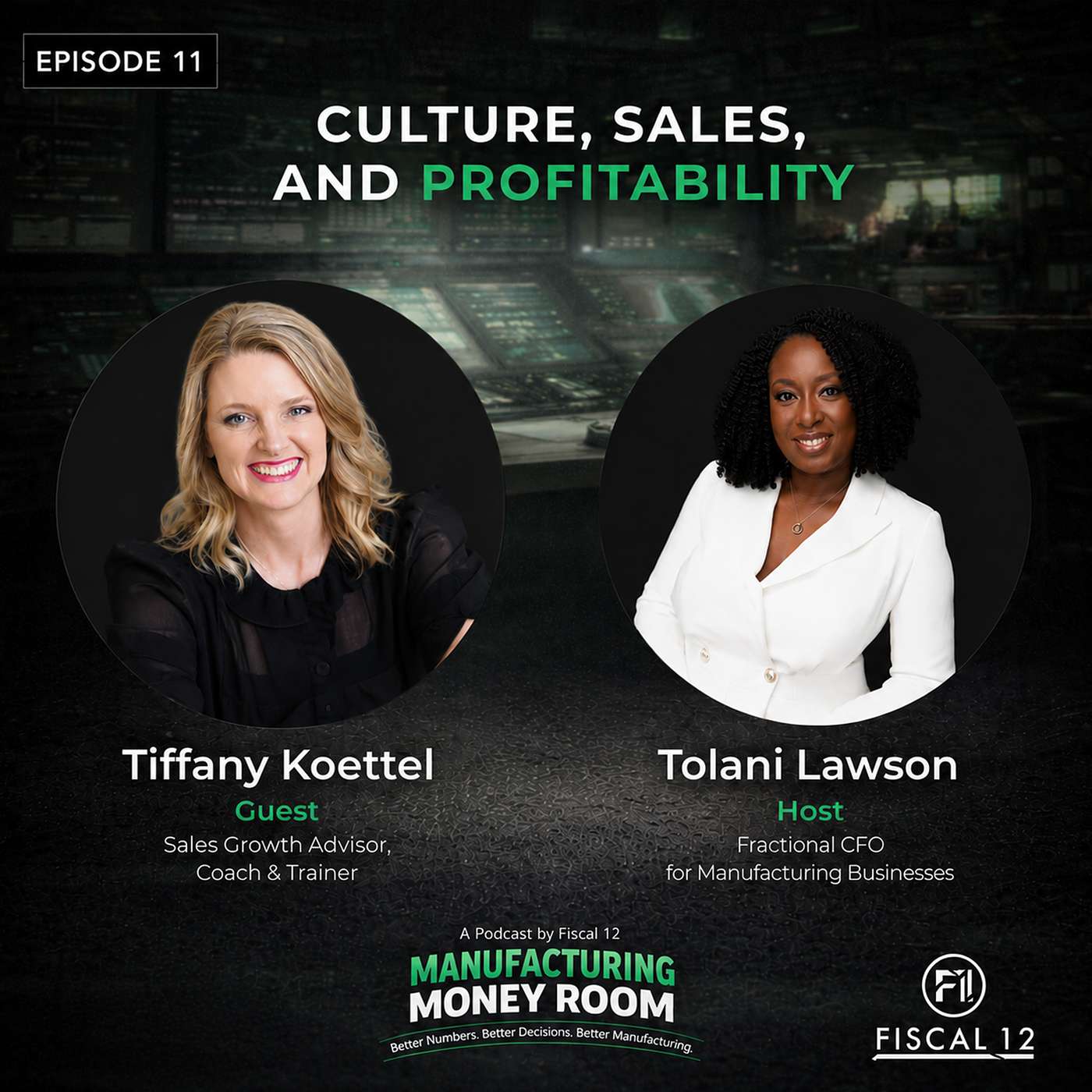Guest Episode 2: Culture, Sales, and Profitability episode artwork