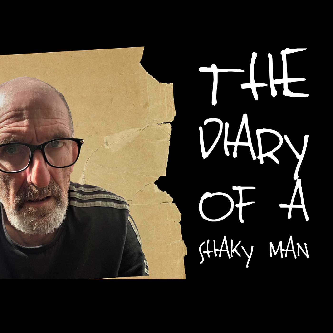 THE DIARY OF A SHAKY MAN 2