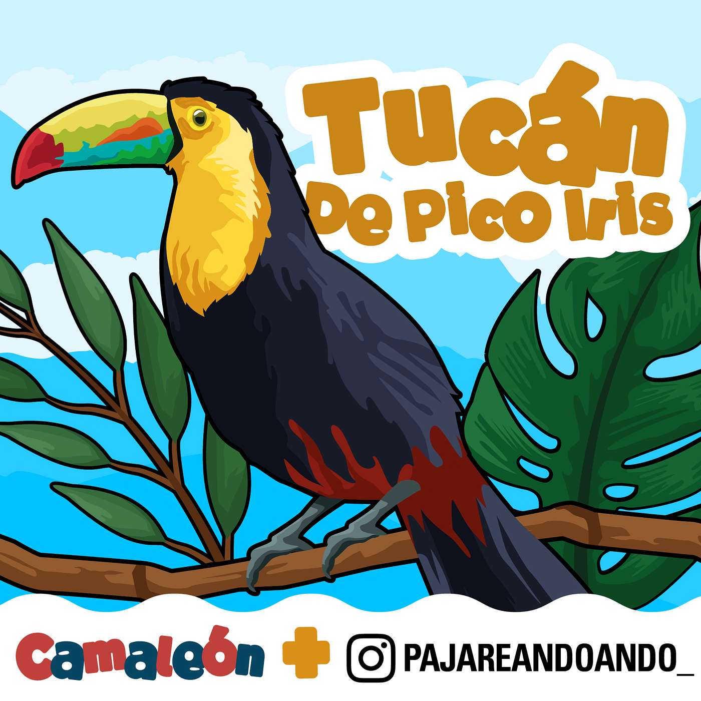 Tucán Pico Iris: El pico que canta y siembra episode artwork