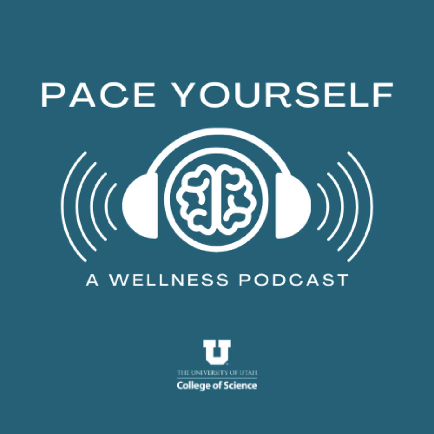 Episode 2: Vocational Wellness