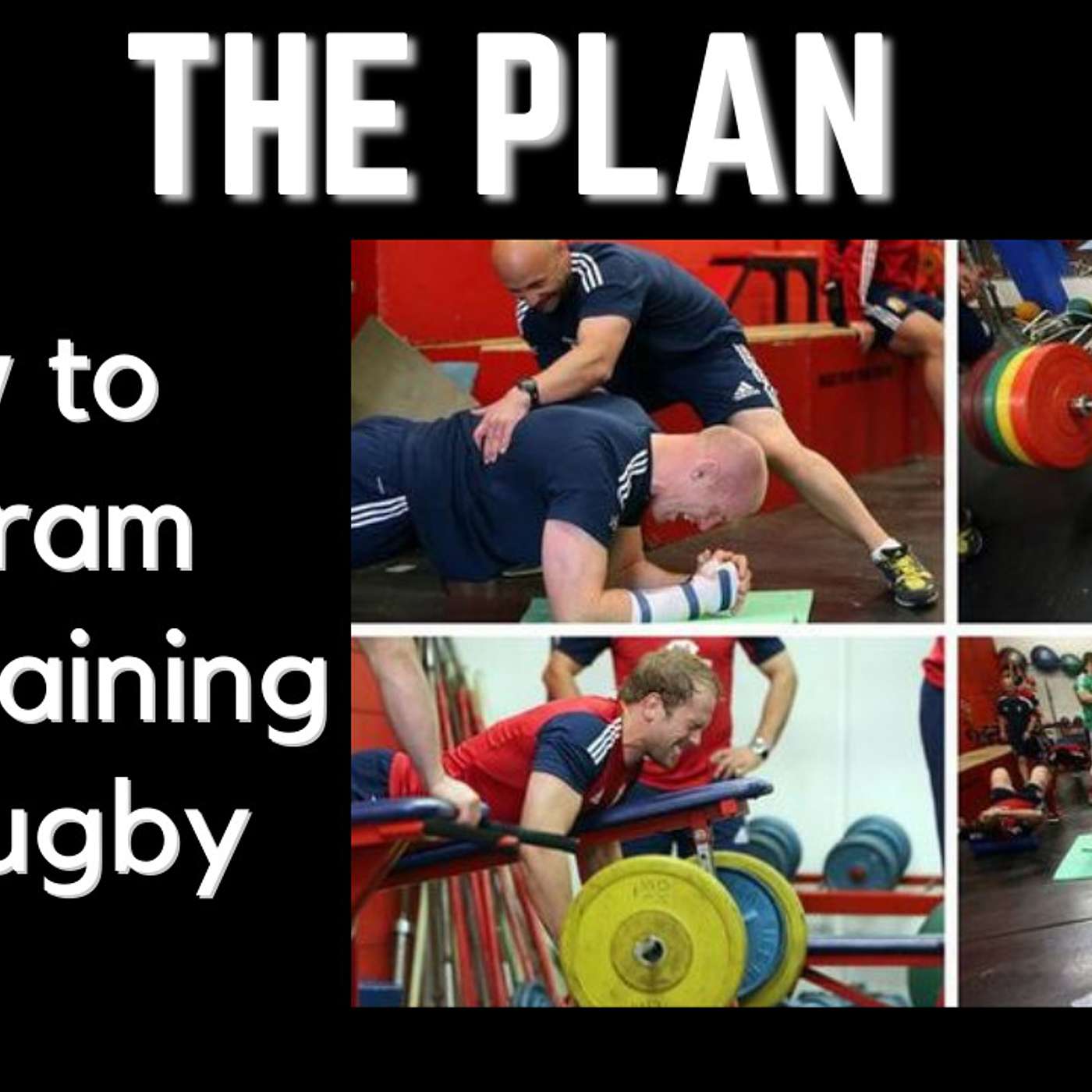 How To Plan Your Gym Training For Rugby AKA Periodization - Programming 101 - Rugby Muscle Applied episode artwork