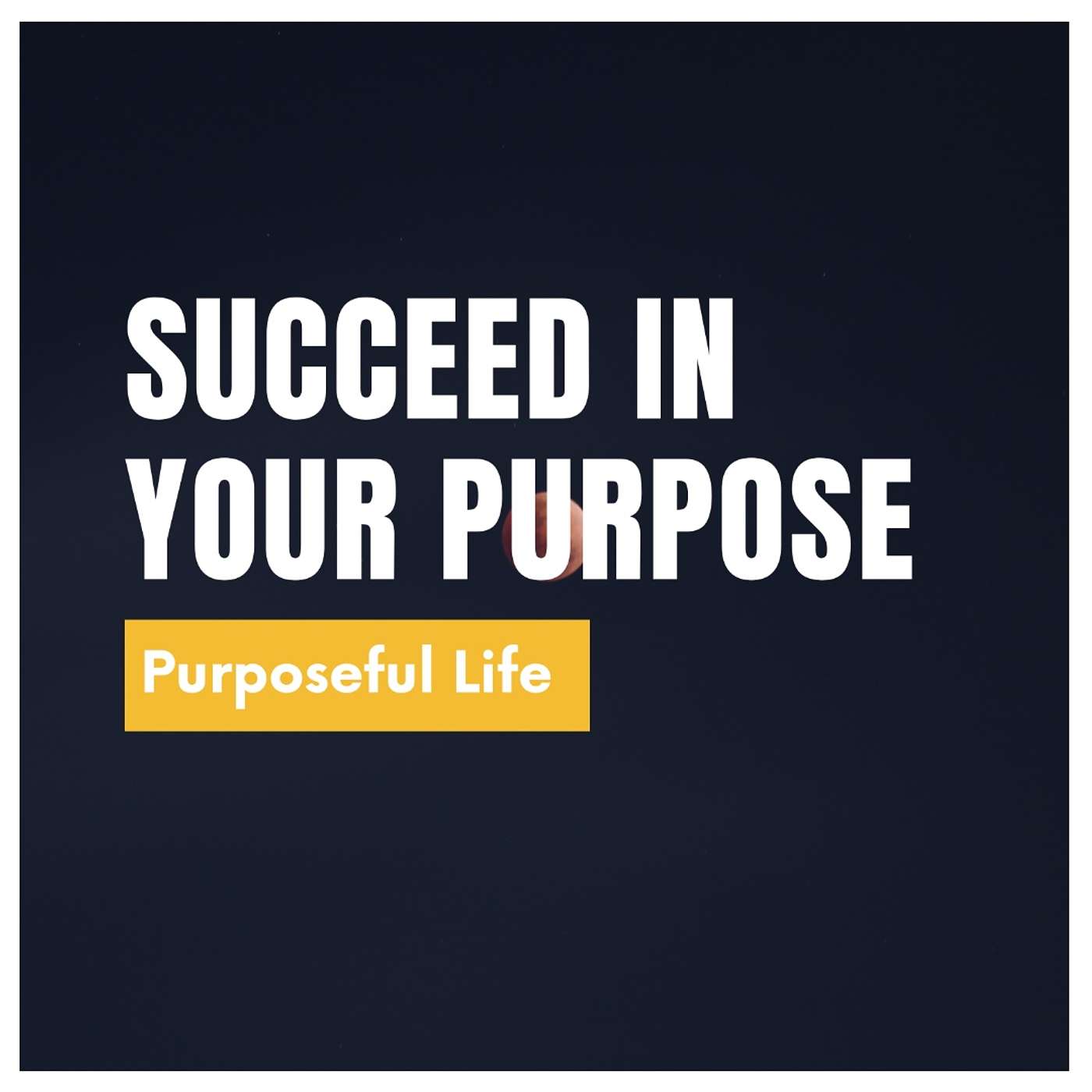 Purposeful Living Series - SUCCEED IN YOUR PURPOSE