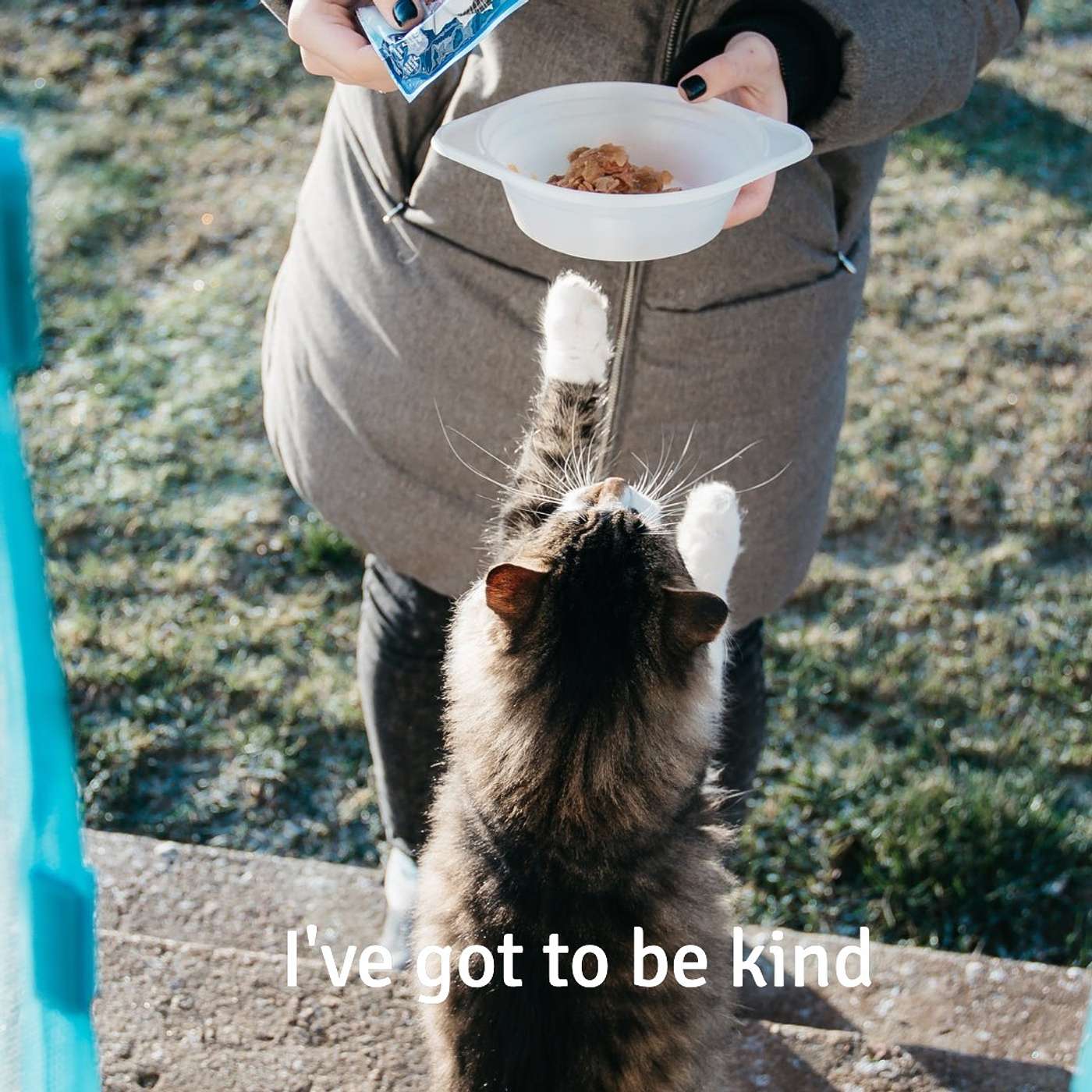 #193 I've got to be kind episode artwork