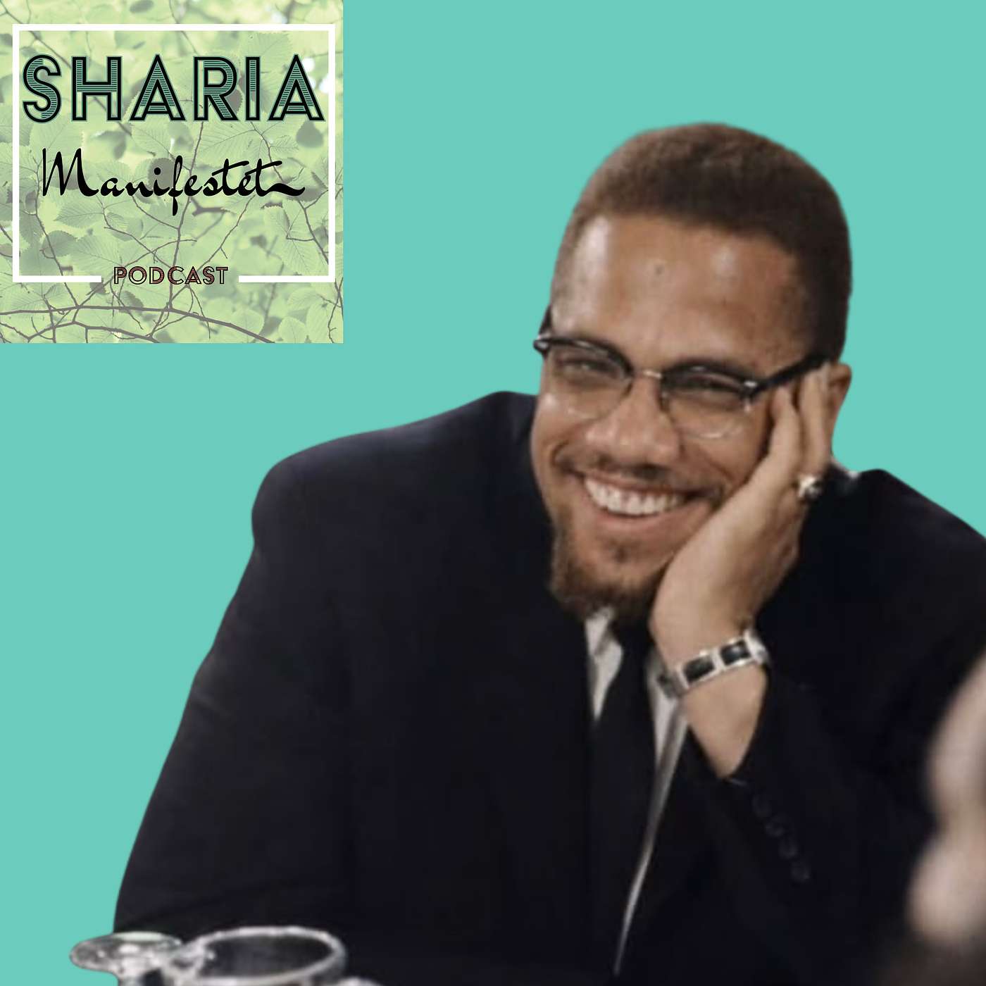 Malcolm X: Islam er den ultimative frigørelses-teologi