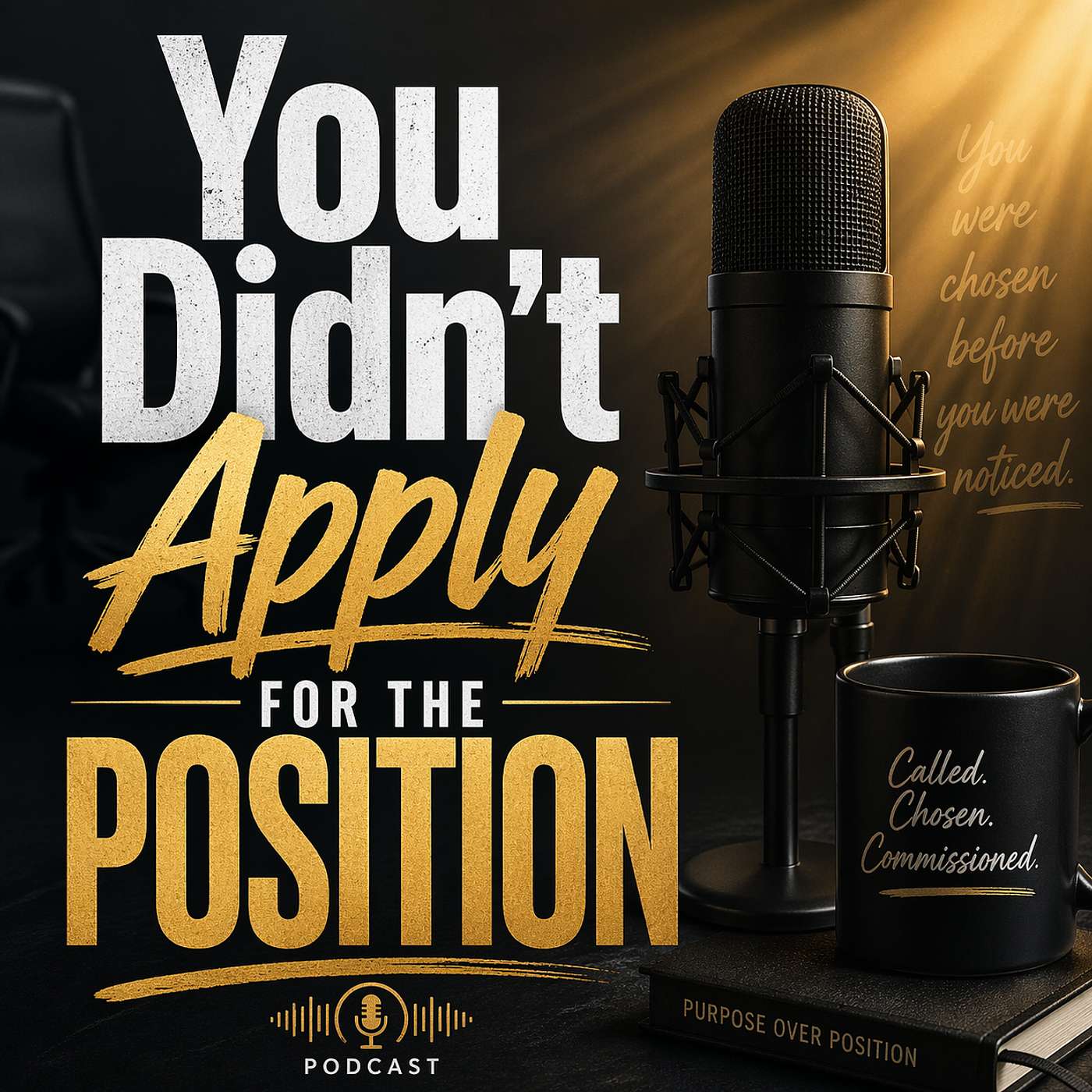 You Didn't Apply For The Position episode artwork