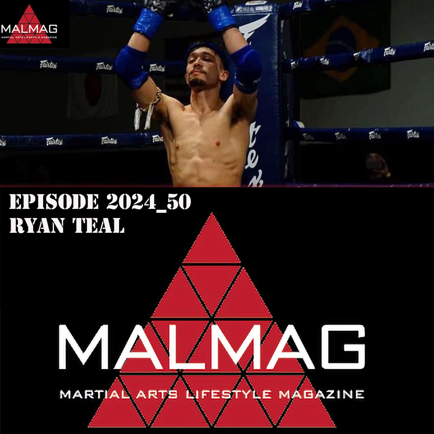The Martial Arts Lifestyle Podcast
