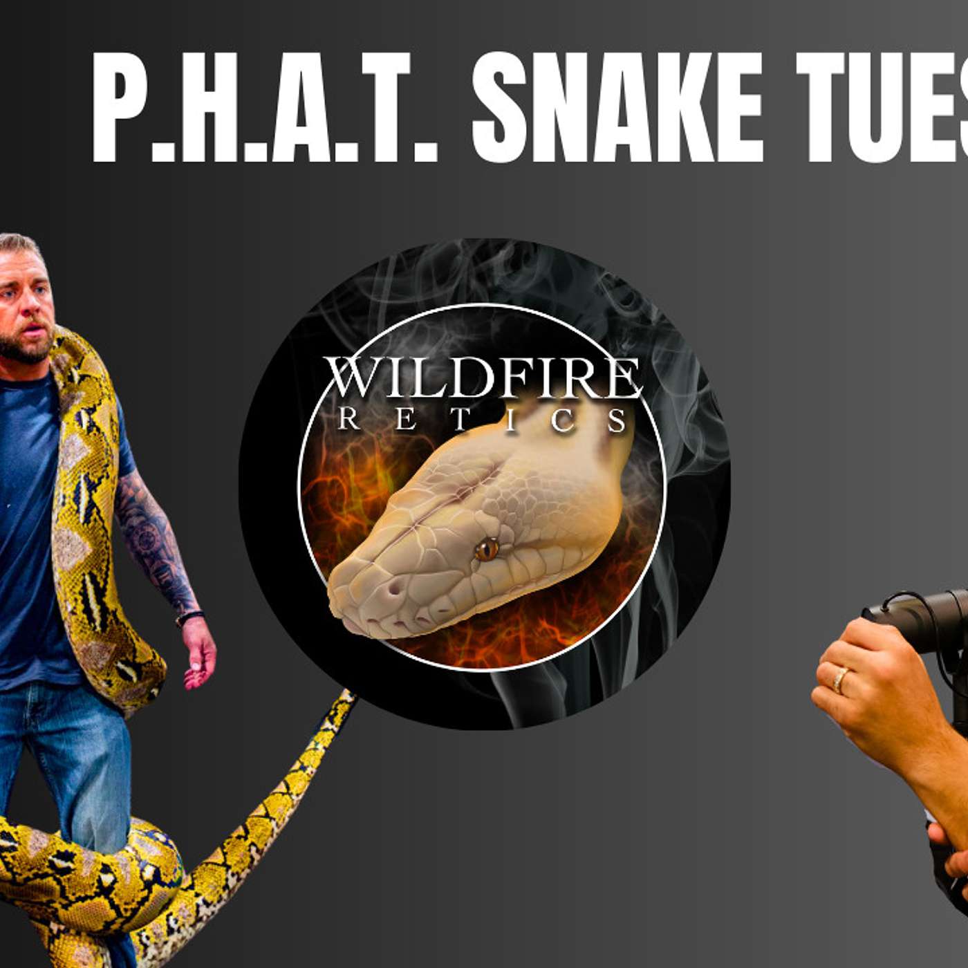 Is it really that bad inside Reticulated Python community? | P.H.A.T. Snake Tuesday's
