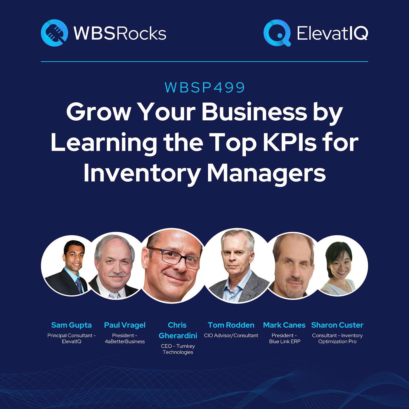 WBSP499: Grow Your Business by Learning the Top KPIs for Inventory Managers, a Live Interview w/ a Panel of Experts