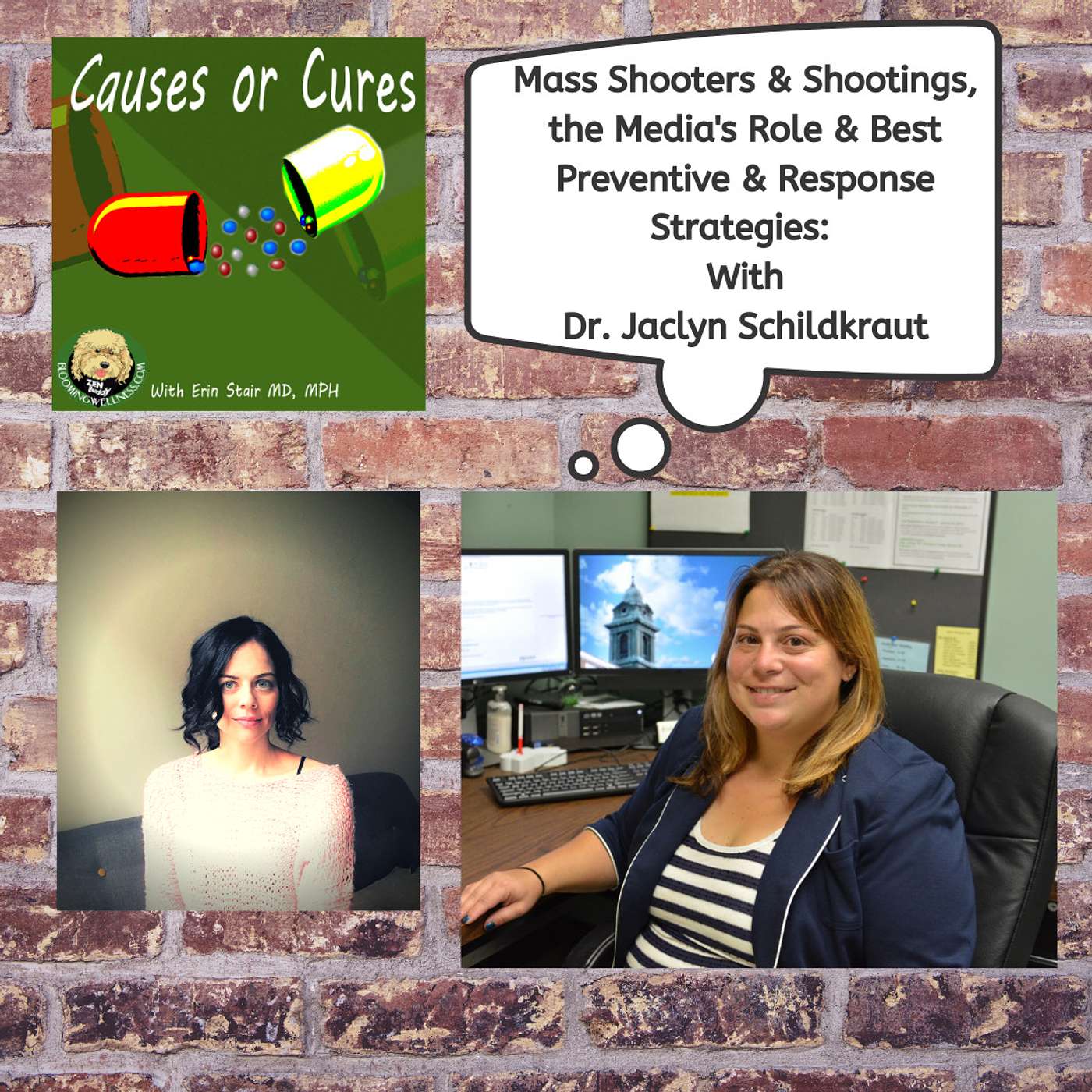 Mass Shooters, Shootings, The Media's Response & Best Preventive Strategies, with Dr. Jaclyn Schildkraut