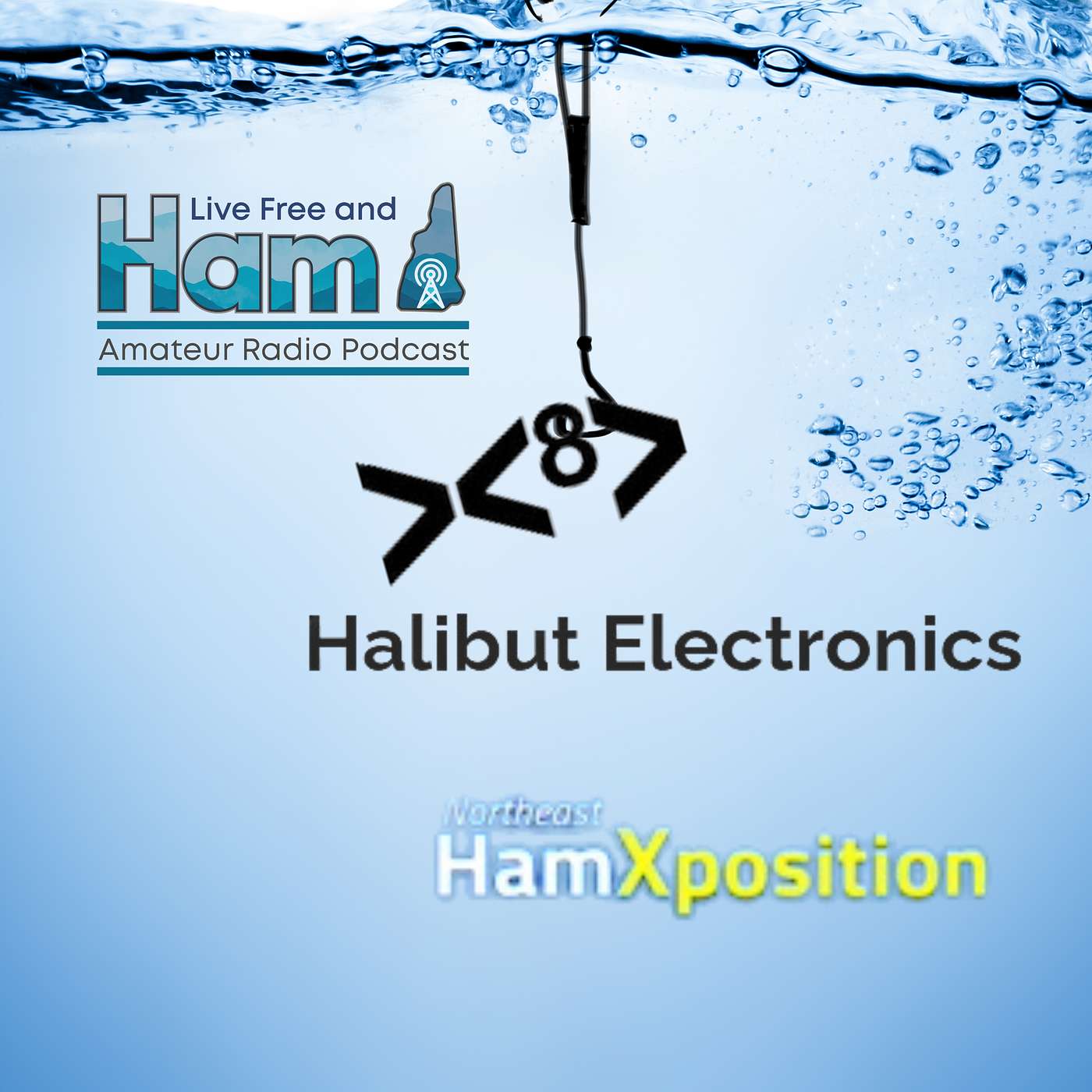 Getting Ready for Ham X with Mark from Halibut Electronic - Live Stream