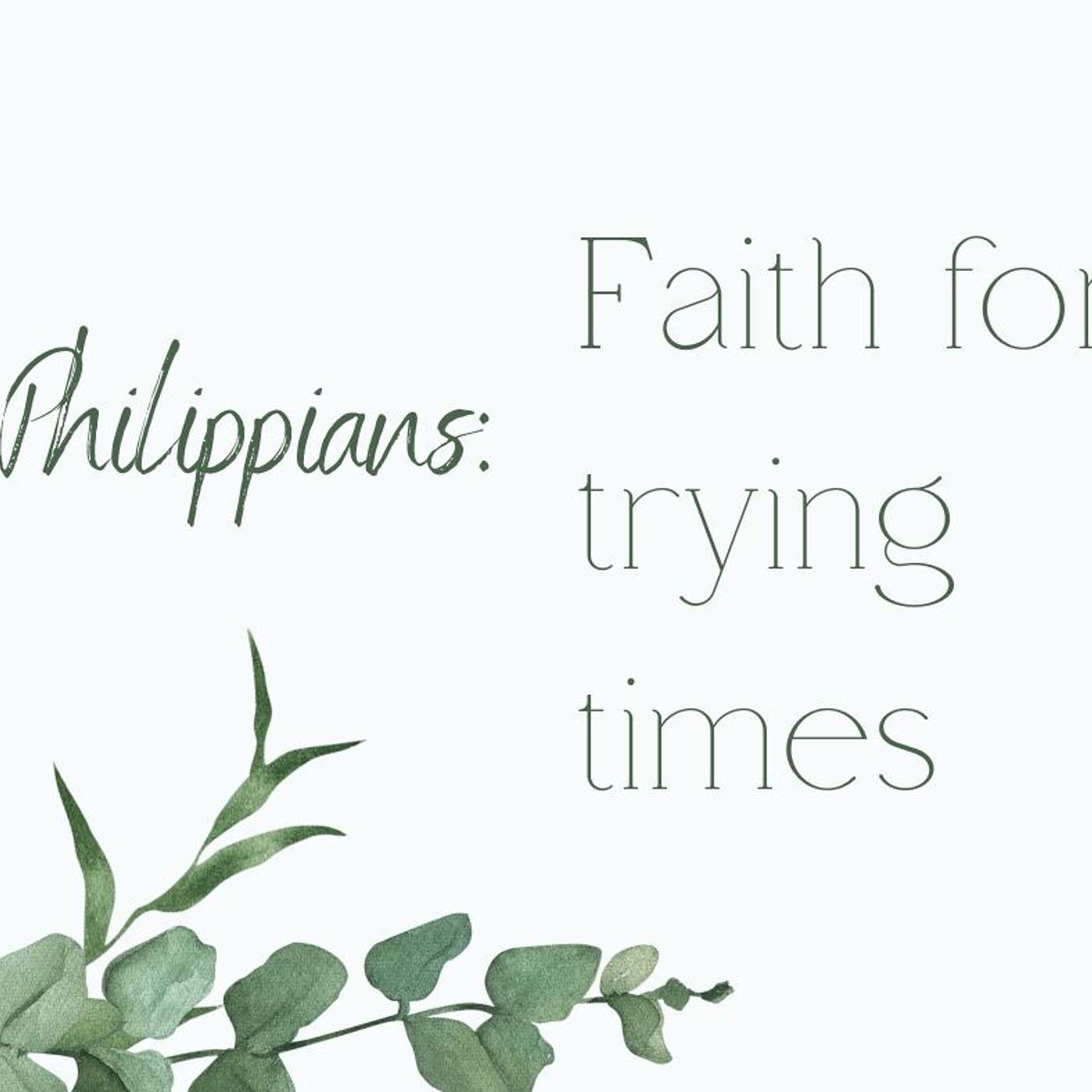 Movement For Wholeness: A podcast from Lake Washington Christian Church