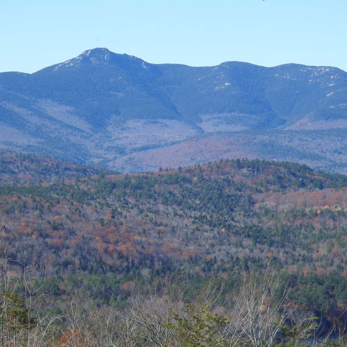 NOVEMBER LANDSCAPE
