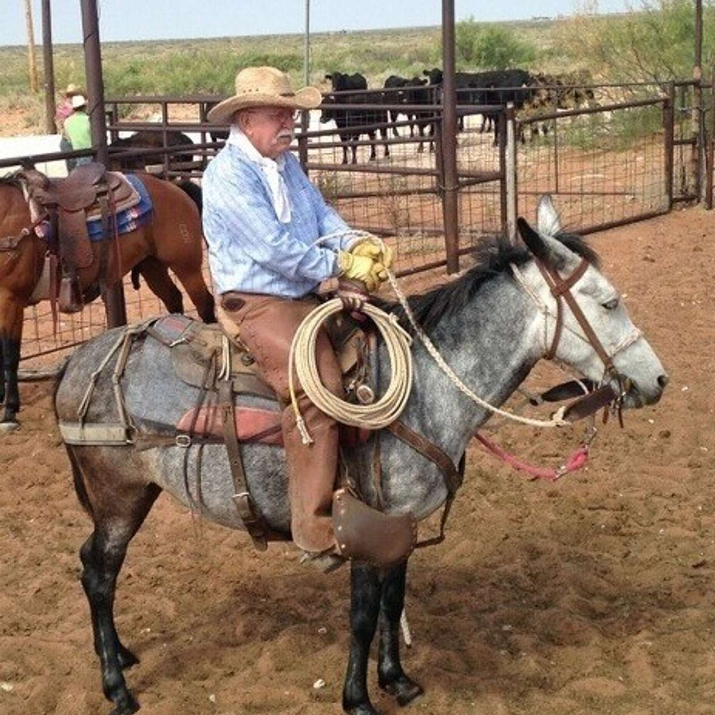 MULE TALK! GUEST: LEGENDARY LONNIE KING FROM NEW MEXICO