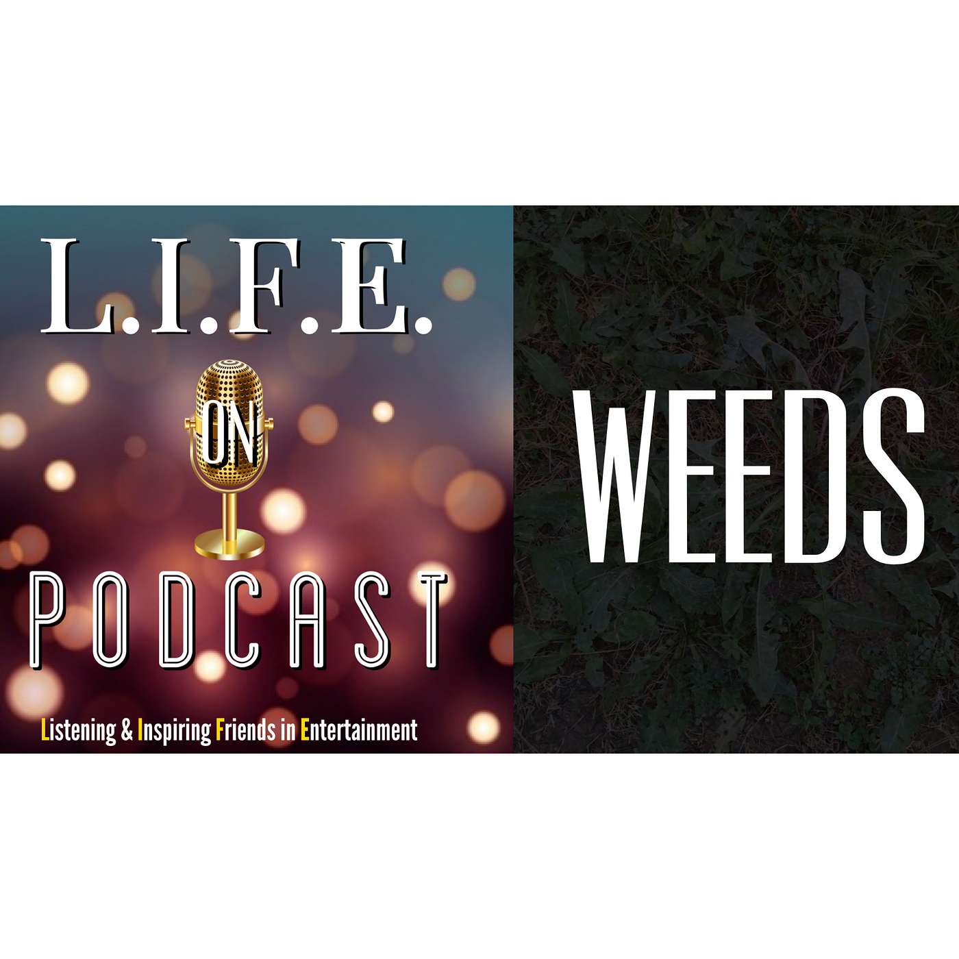 L.I.F.E. on podcast