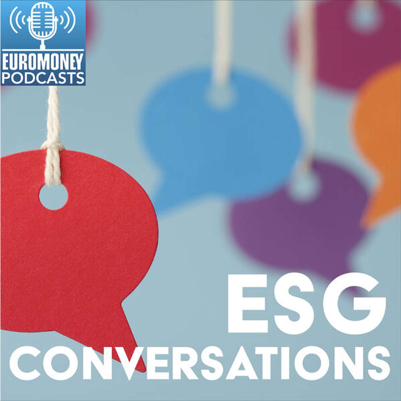 ESG Conversations – Episode 5: Erika Irish Brown – driving D&I through data