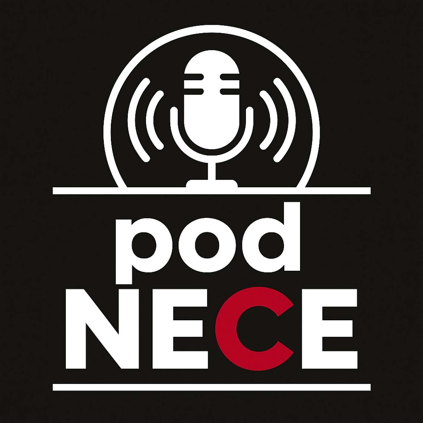 S02-E12 - "The influence of professional accounting organizations on the supply and demand of the accounting professional’s competencies: a Portuguese case study" episode artwork