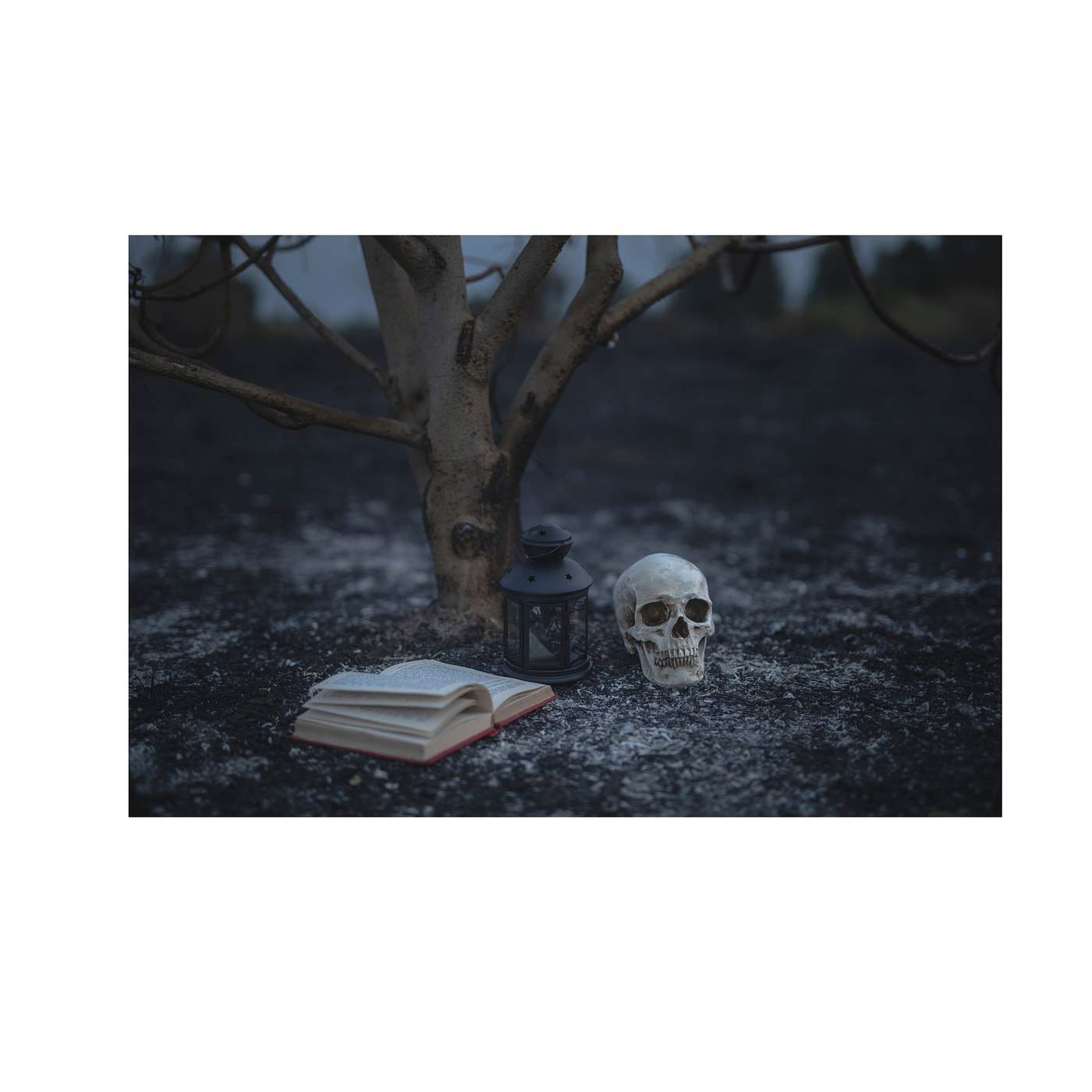 After Words Paranormal
