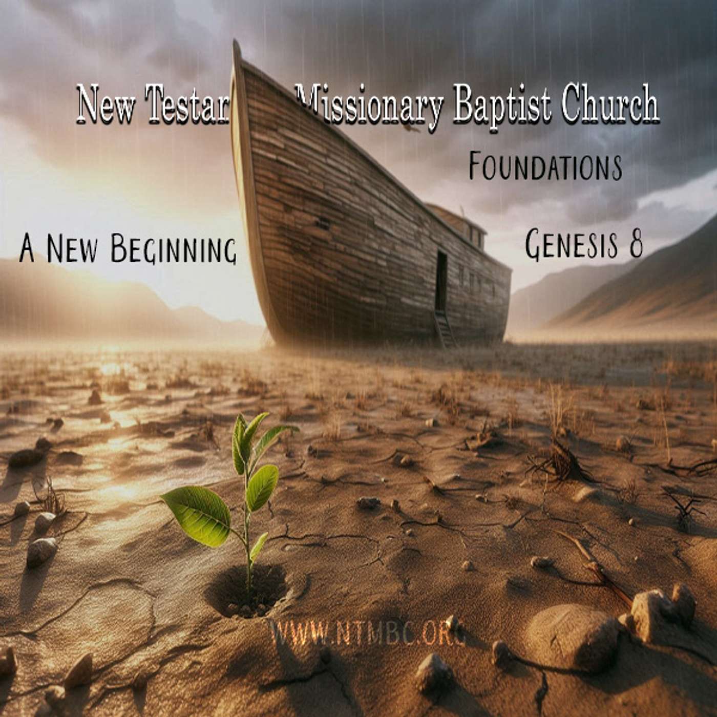 Foundations: A New Beginning, Genesis 8 (Audio)