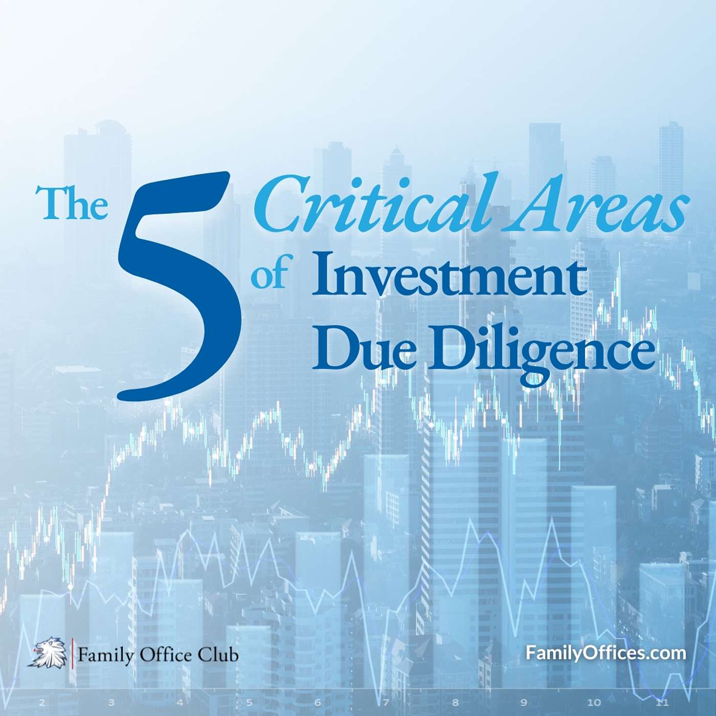 The 5 Critical Areas of Investment Due Diligence