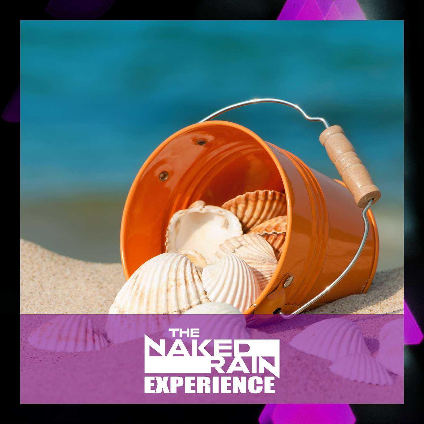 The Naked Rain Experience