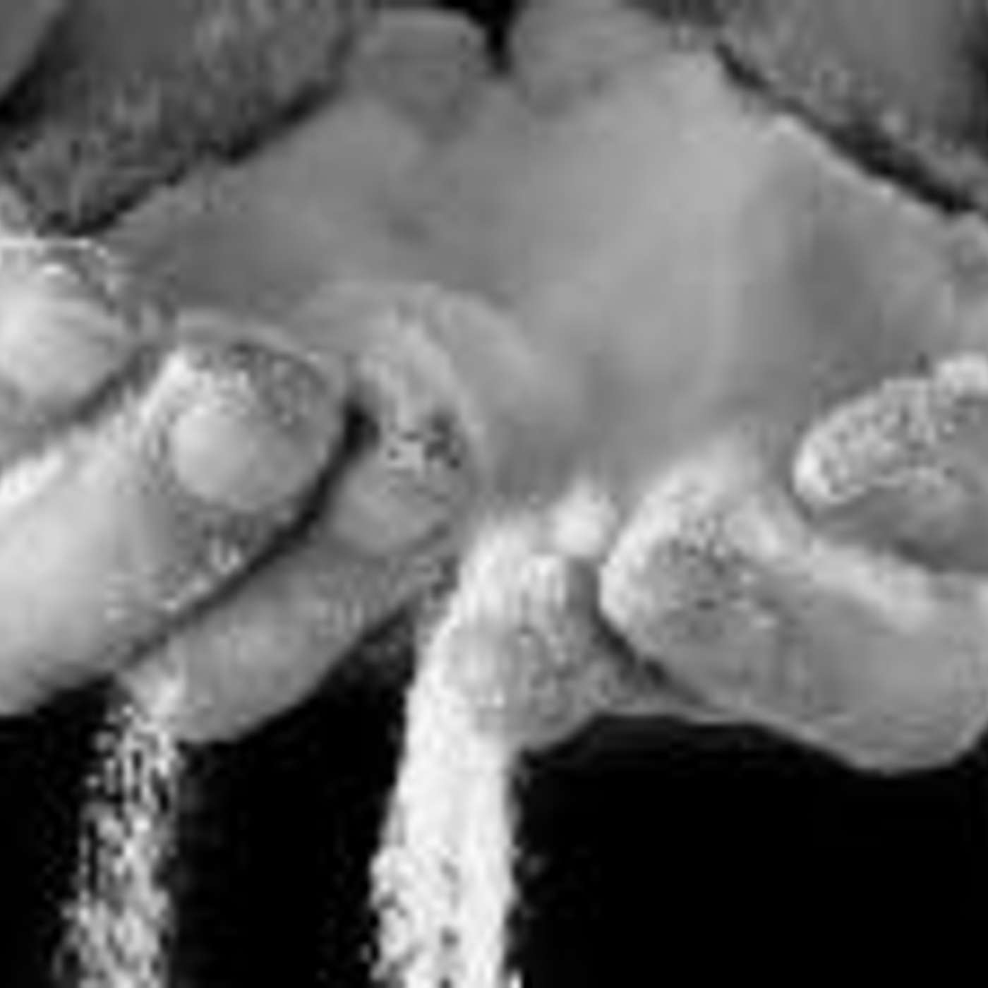 Homily for the Fifth Sunday of Ordinary Time - You Already have What it Takes to Change the World