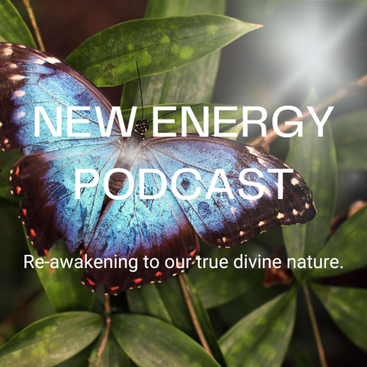 New Energy Podcast