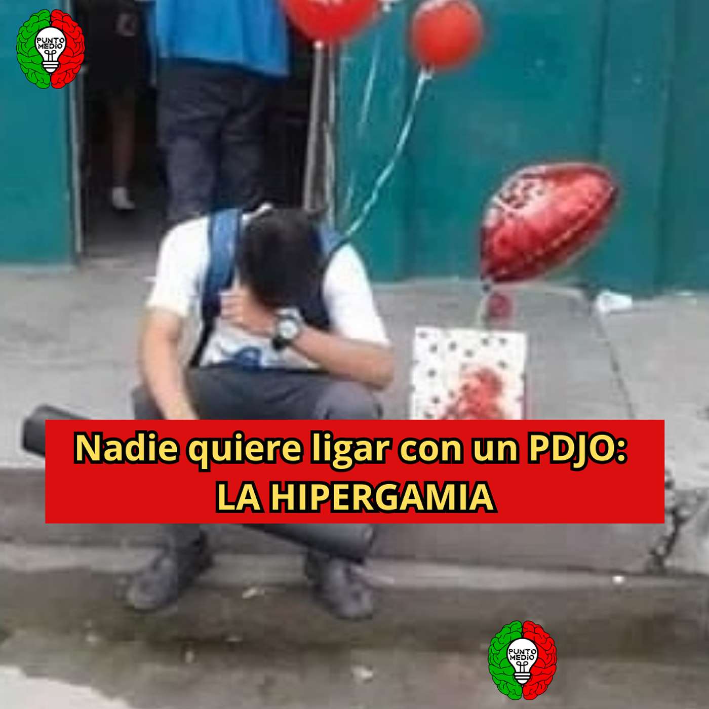 Nadie quiere ligar con un PDJO: LA HIPERGAMIA Nadie quiere ligar con un PDJO: LA HIPERGAMIA