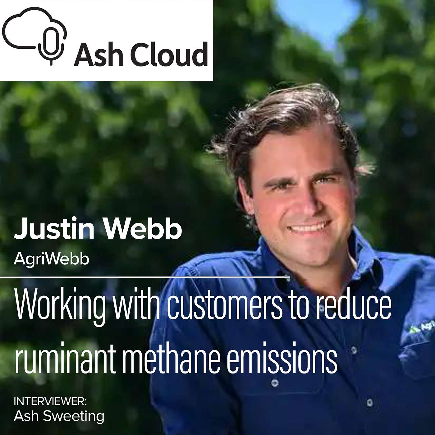 ASH CLOUD