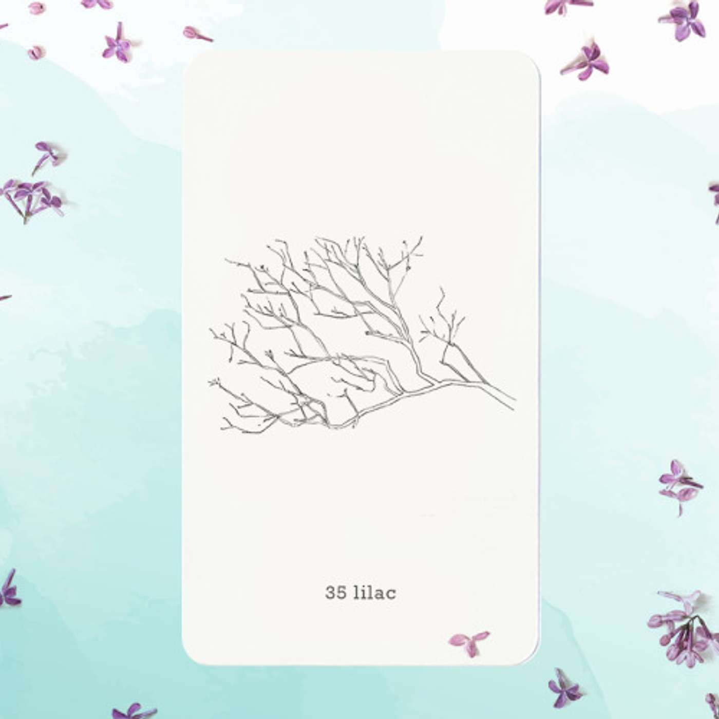 Gratitude Blooming Podcast