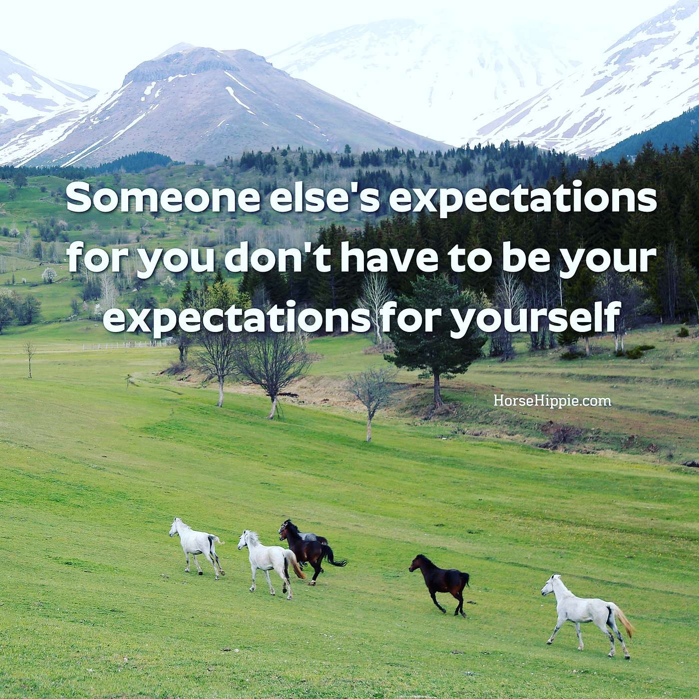 The Expectations of Others