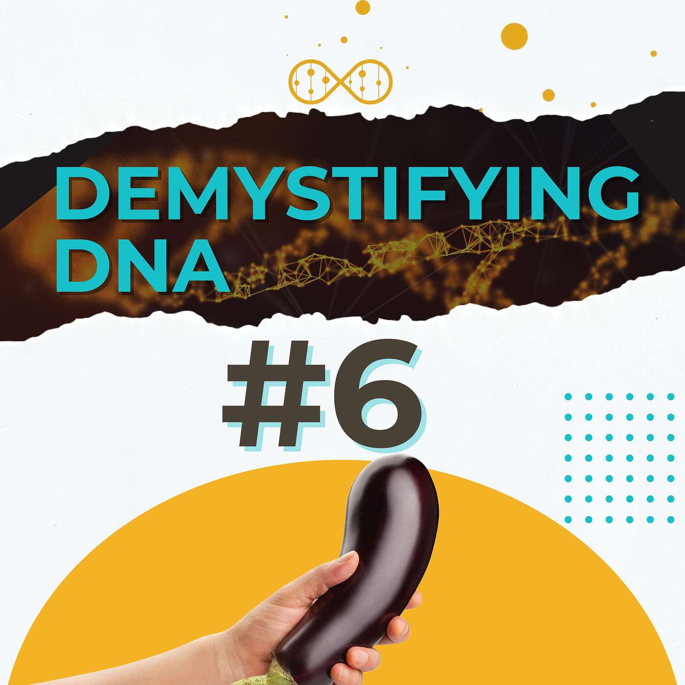 Demystifying DNA