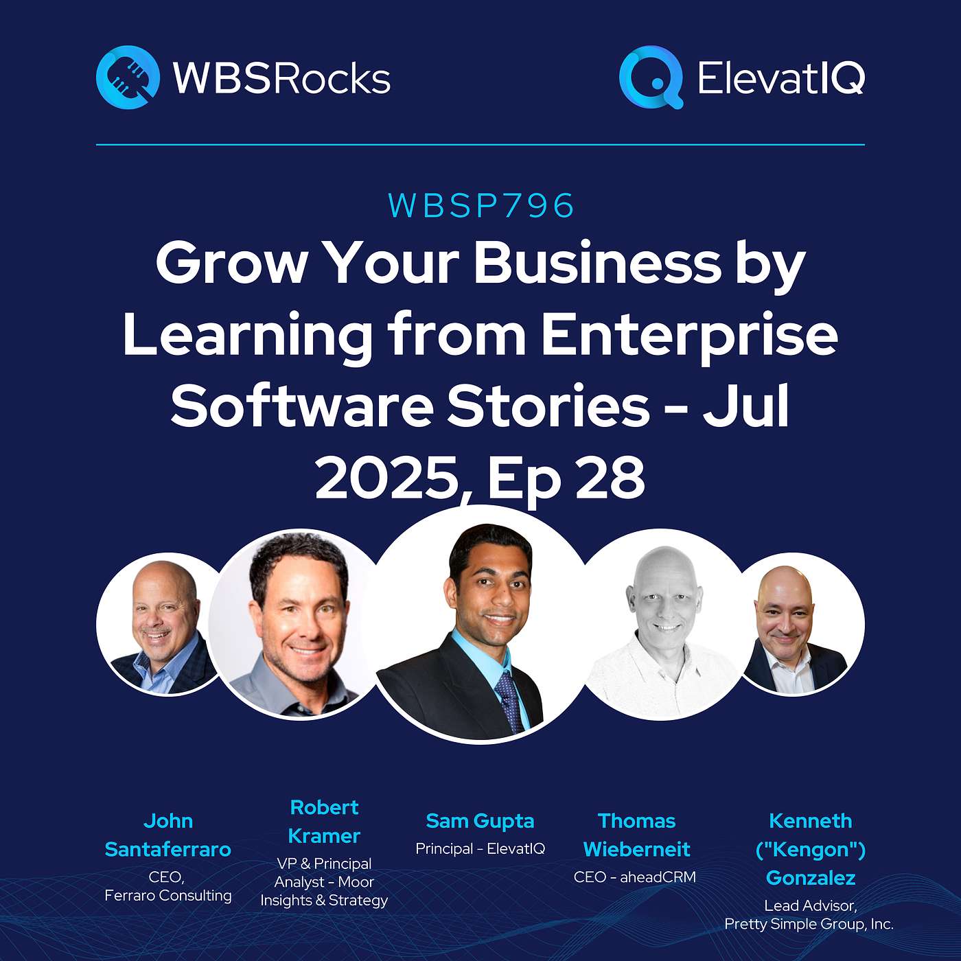WBSP796: Grow Your Business by Learning from Enterprise Software Stories - Jul 2025, Ep 28, an Objective Panel Discussion