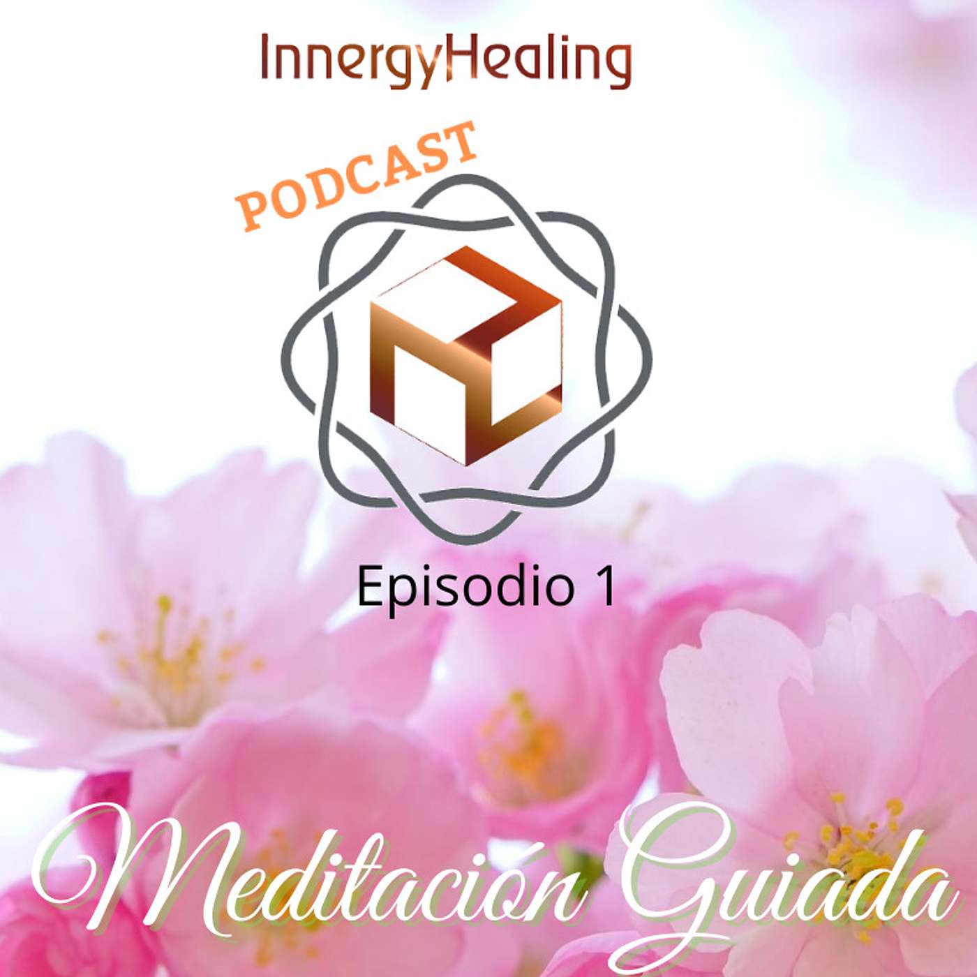Meditacion en Espanol