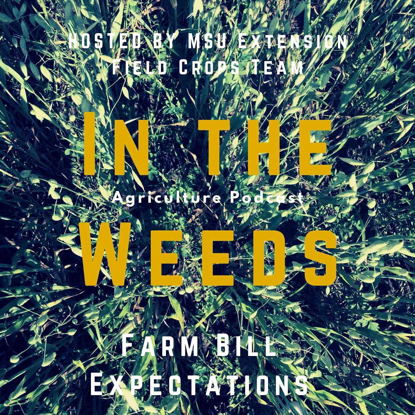 In the Weeds: 2023 Farm Bill- What to Expect? episode artwork
