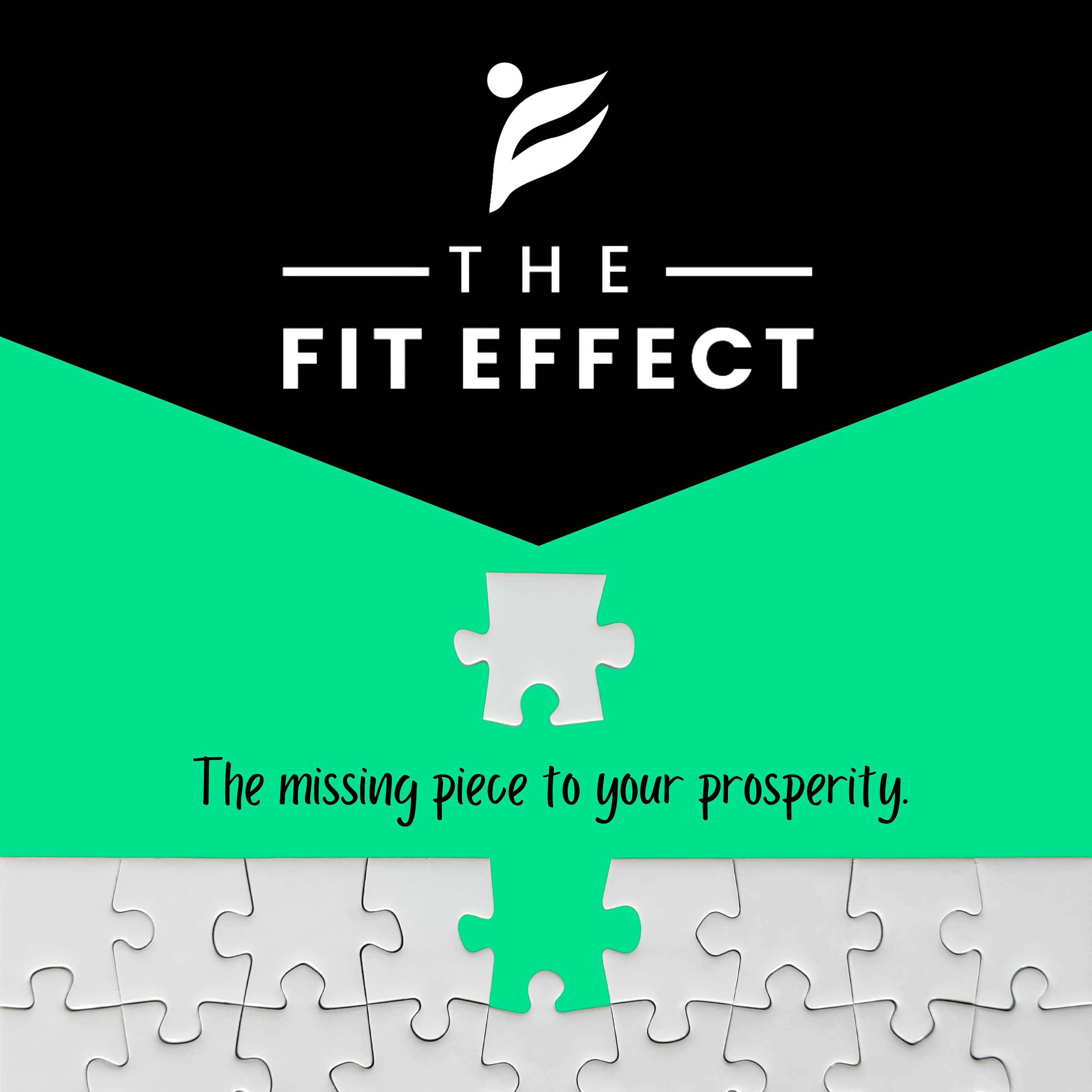 The Fit Effect