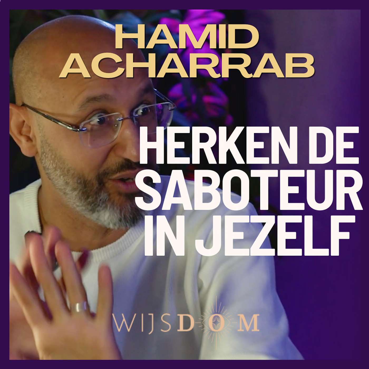 WijsDom Podcast